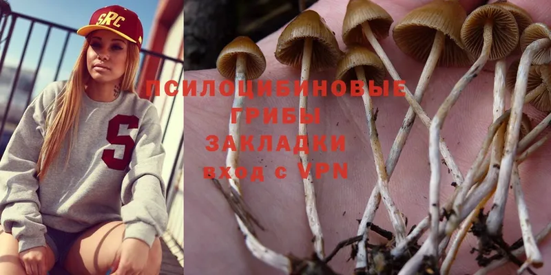 даркнет какой сайт  Фролово  Псилоцибиновые грибы MAGIC MUSHROOMS 