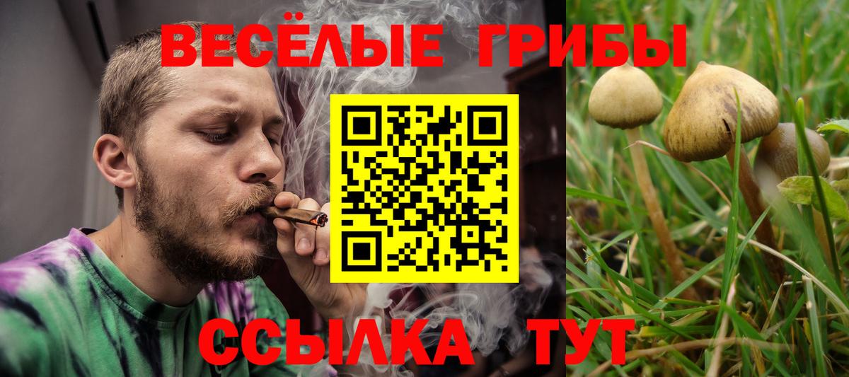 Псилоцибиновые грибы прущие грибы Фролово