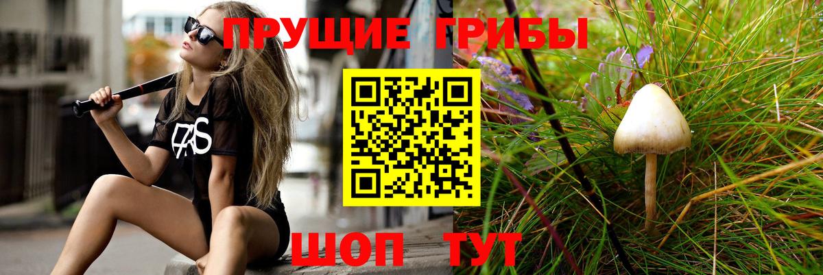 Галлюциногенные грибы GOLDEN TEACHER  Вход с VPN  Фролово  Псилоцибиновые грибы мухоморы 