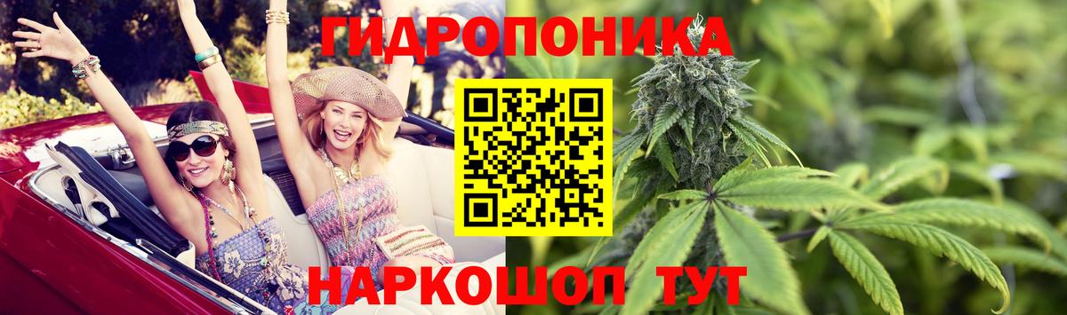Фролово  Каннабис индика  Вход с VPN  Бошки марихуана марихуана  МАРИХУАНА Ganja 